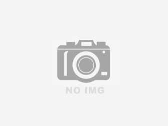午夜福利在线播放公司的2M53130矽鋼片去毛刺機再次進軍湖北